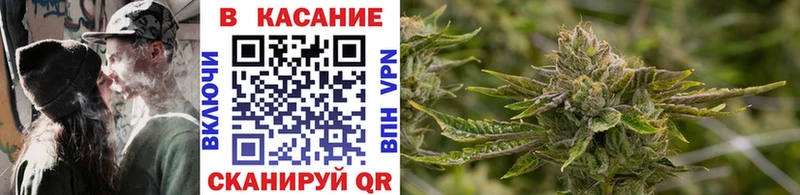 Все наркотики Димитровград Псилоцибиновые грибы  Каннабис  МЕФ  Гашиш  Кодеин  СОЛЬ 