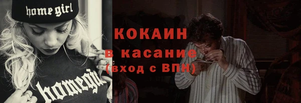 СК Зерноград