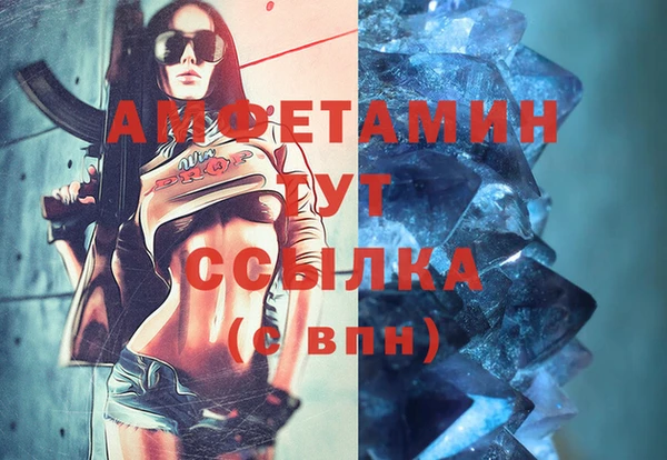 винт Инта