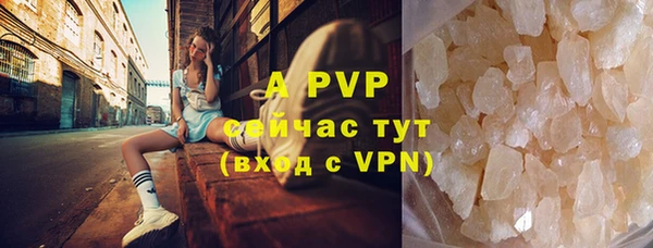 ГАЛЛЮЦИНОГЕННЫЕ ГРИБЫ Иннополис