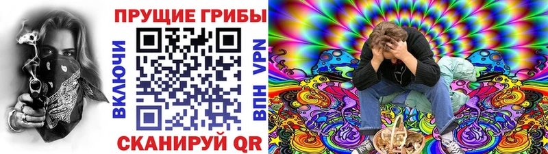 Галлюциногенные грибы ЛСД Димитровград