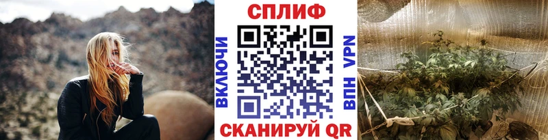 Каннабис индика  Димитровград 